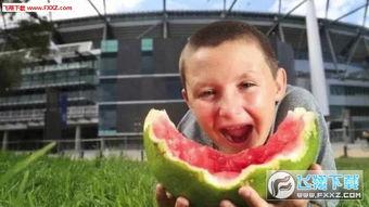 吃瓜比赛表情包下载,吃瓜比赛表情包下载，笑料横生！